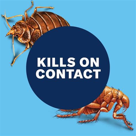 BioAdvanced Home Pest Bed Bug Flea Killer -fl oz Ready to use Bed bug ...