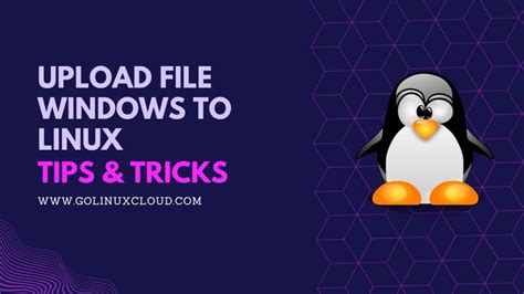 Upload File to Linux 的图像结果