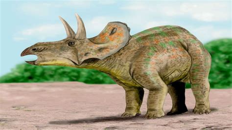 Triceratops: interesting facts about the three-horned dinosaur