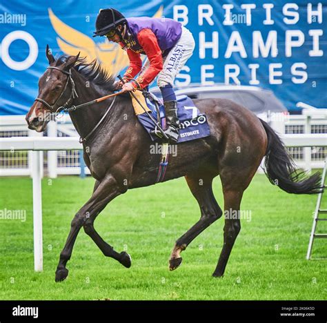 Estimate, owned by Her Majesty Queen Elizabeth II, trained by Sir Michael Stoute and ridden by ...
