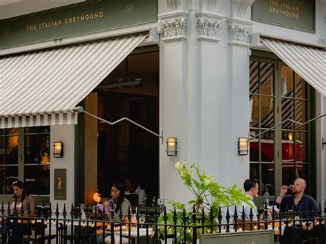 Average - Reviews, Photos - The Italian Greyhound - Tripadvisor