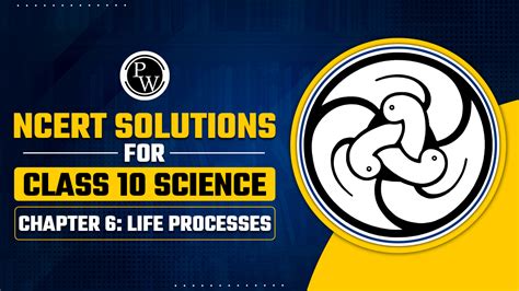 Class 10 Science Chapter 6 All Processes 的图像结果