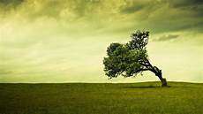 Wallpaper Laptop Hd by Hd Wallpapers For Laptop Wallpaper Cave Wallpaper Laptop Hd