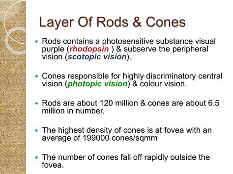 Anatomy of retina | PPTX