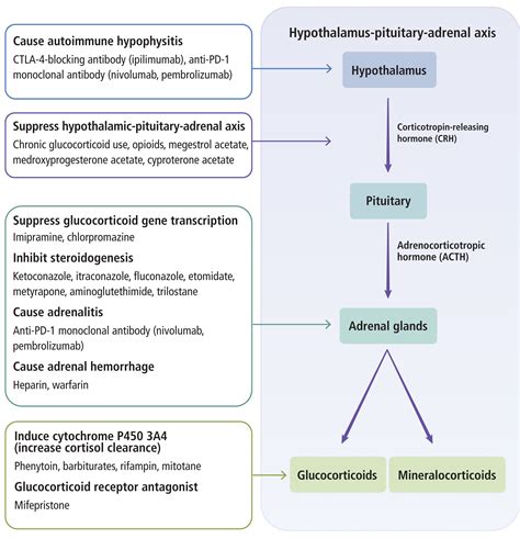 Glucocorticoid-induced adrenal insufficiency and glucocorticoid ...