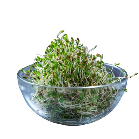 Zumos: Fresh Fruit & Veggie Delivery Service in Mumbai