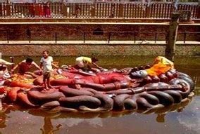 Magical Kathmandu with Chitwan and Pokhara