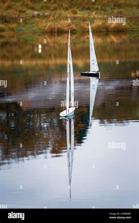 Radio-Controlled Model 的图像结果