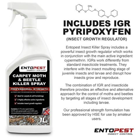 Insecticide To Kill Carpet Beetles at Mackenzie Boehm blog