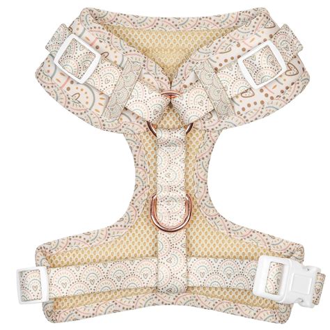 Boho Rainbow Dog Harness Cute Dog Harness & Leash Set Cute Dog - Etsy