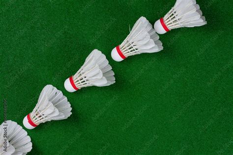 Playing Badminton 的图像结果