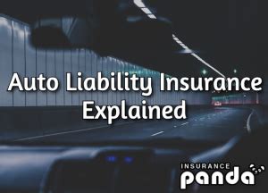 Liability Auto Insurance Explained 的图像结果