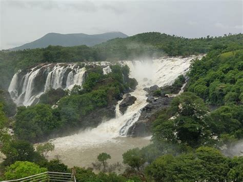 THE 10 BEST Resorts near Shivanasamudra Falls, Cauvery Beat