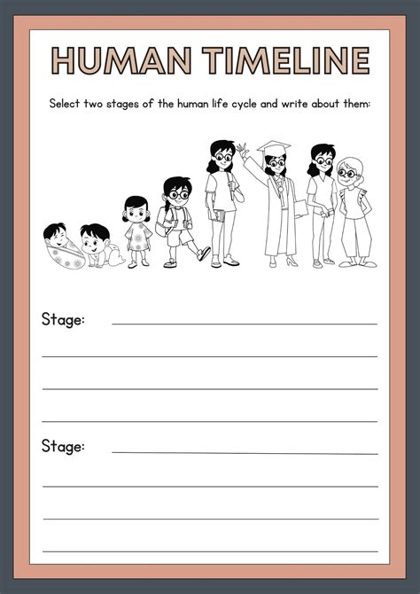 Human Life Cycle For Kids Worksheet