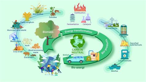 Image result for How Does Biomass Energy Work