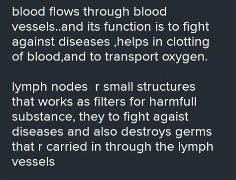 state the function of of the following components of transport system ...
