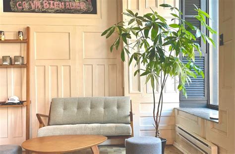 Pothos to coin plant: Feng shui plants that attract positivity and money