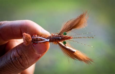 The Crayfish Fly Pattern Tutorial 的图像结果