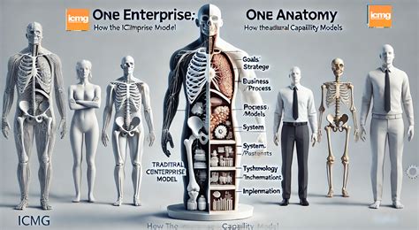 Seeing the Full Picture: How the ICMG Anatomy Model Transcends ...