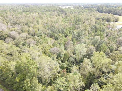 2.1 Acres of Residential Land for Sale in Loris, South Carolina ...