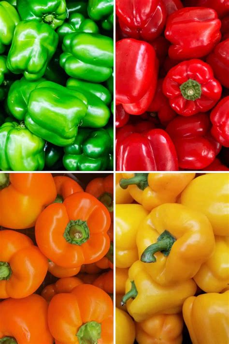Bell Pepper Substitute: 8 Best Alternatives - A Nourishing Plate