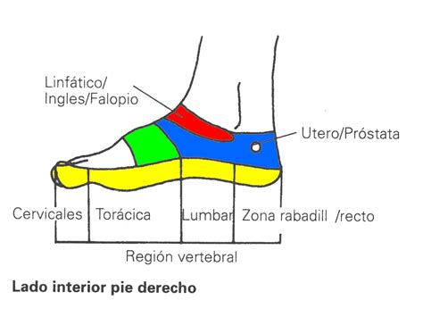 Pies En Ingles In at Mark Cox blog