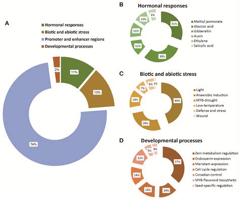 Genome-Wide Analysis of the PERK Gene Family in Brassica napus L. and ...