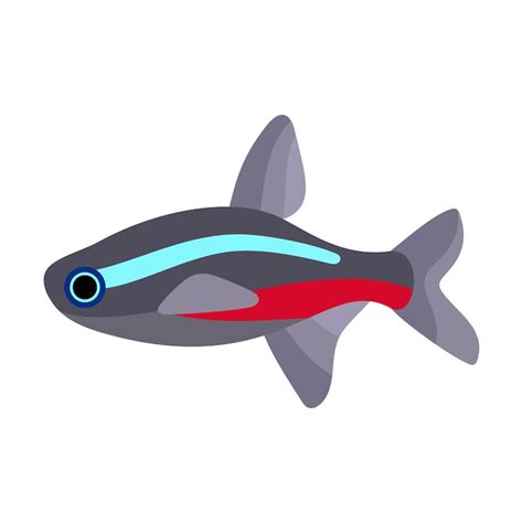 2d fish Vectors - Download Free High-Quality Vectors from Freepik | Freepik