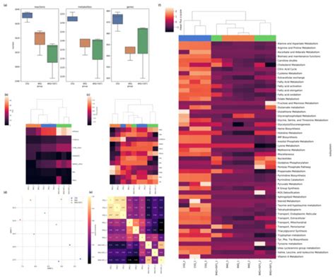 Transcriptomic and Metabolic Network Analysis of Metabolic ...