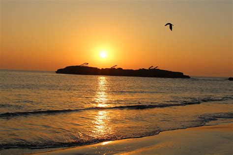 KRISHNA BEACH RESORTS (Diu, Daman and Diu) - Resort Reviews, Photos ...