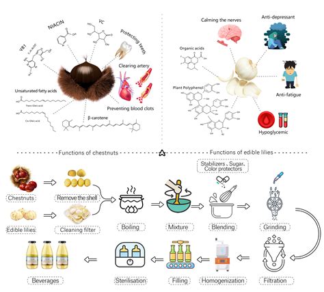 Physical Stability of Chestnut Lily Beverages (CLB): Effects of Shear ...