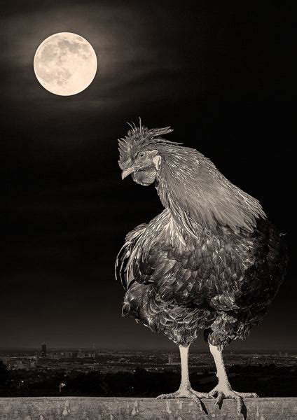 Bionic Alarm - Posters by Wolfgang Alberty | Buy Posters, Frames ...