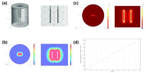 Prostate Radiation Simulation 的图像结果