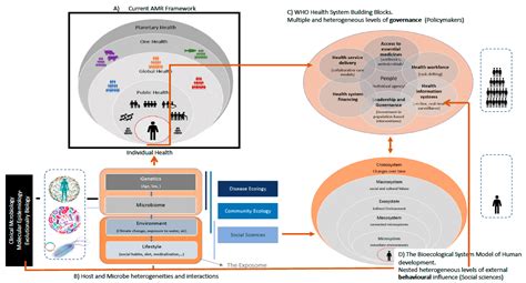 Antimicrobial Resistance in the Global Health Network: Known Unknowns and Challenges for ...