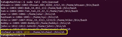 Groupadd Useradd Linux 的图像结果