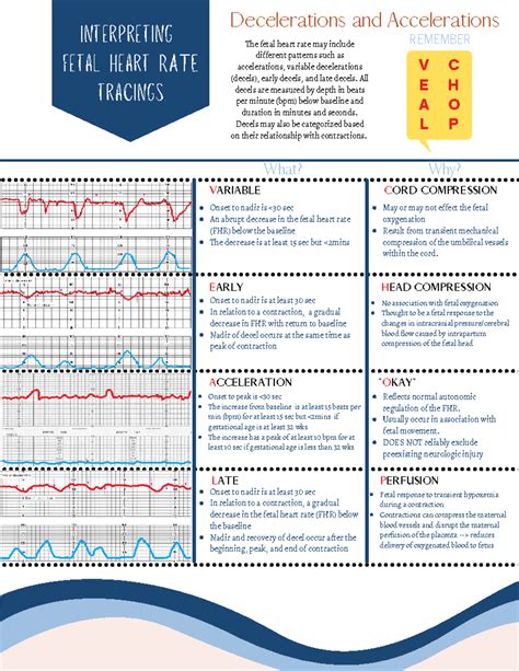 The Basics Interpreting Fetal Heart Rate Tracings - Interpreting fetal ...