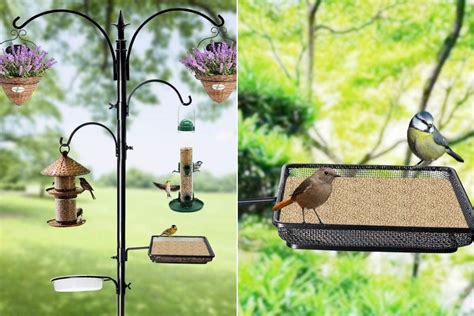 5 Best Bird Feeder Poles of 2021 for Your Lawn on Amazon