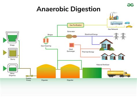 Digestion Process 的图像结果