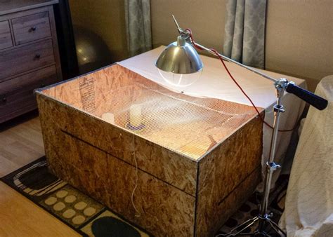 Image result for DIY Brooder Box