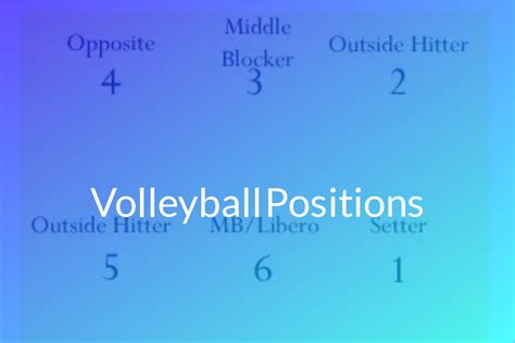 Positions Volleyball Court