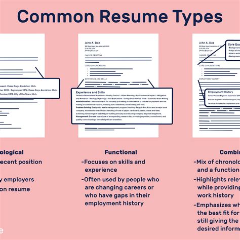categories in a resume - Template Best