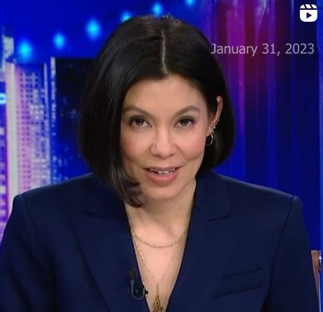 Tin Swe Thant(Alex Wagner Parents) Wiki/Bio, Ethnicity/Nationality, Age ...