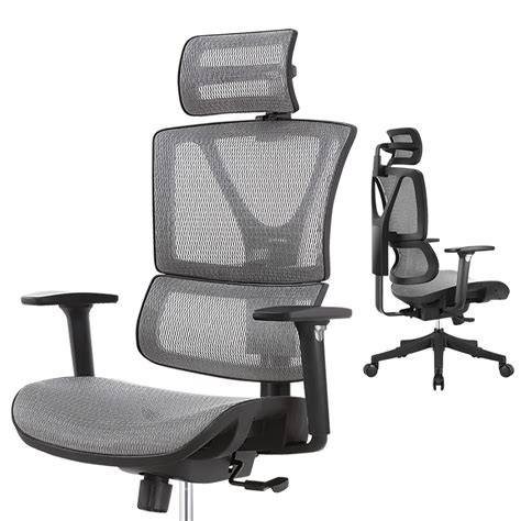 ERGOUP Ergonomic Office Chair, Mesh Desk Chair with Lumbar Support ...