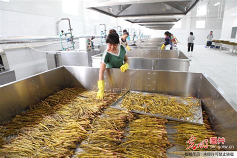 媒体报道_中国农业科学院农产品加工所