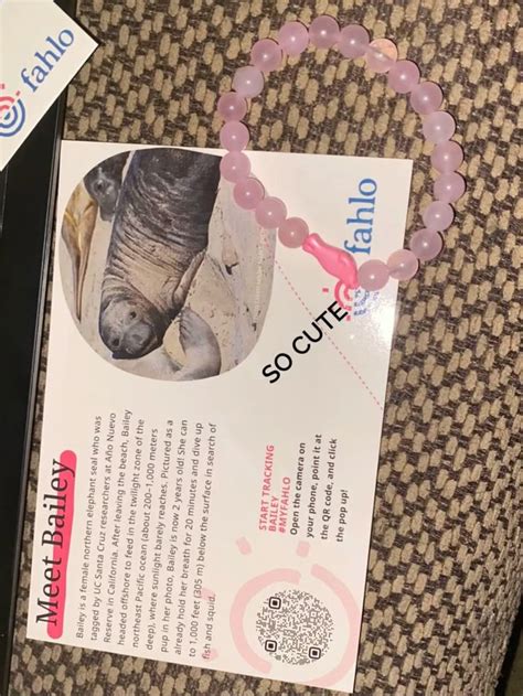 Image result for Stuffed Animals with QR Code Scanner