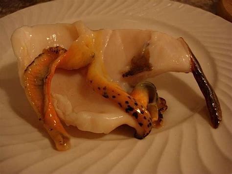Image result for Conch Shell Food