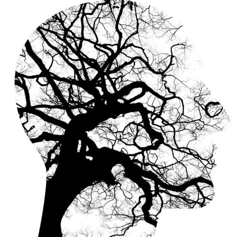 Why Businesses Fail | 6 Reasons, 6 Solutions | Insights on Saving your ...