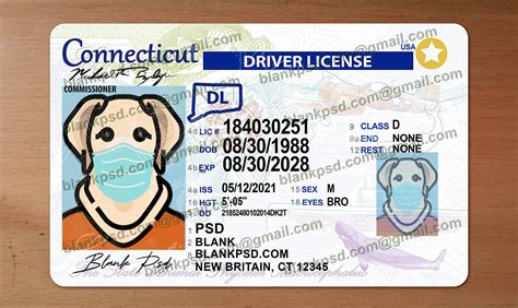 How Do I Check My Driver's License Status In Ct at James Ines blog