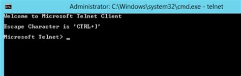 Image result for Telnet Command Windows Server