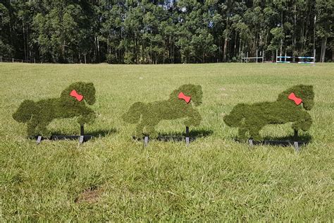 Grass Horses – Just Jump It Show Jumps